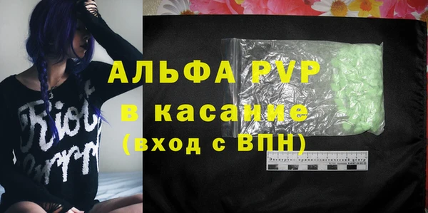 сатива Балахна
